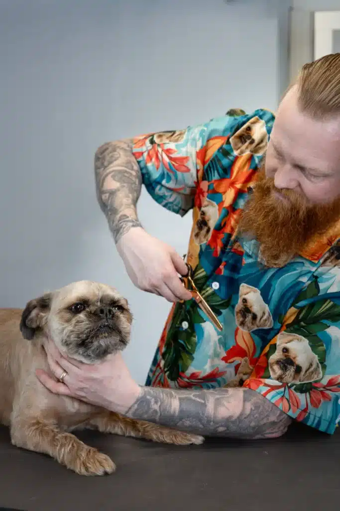 Hundefrisør København