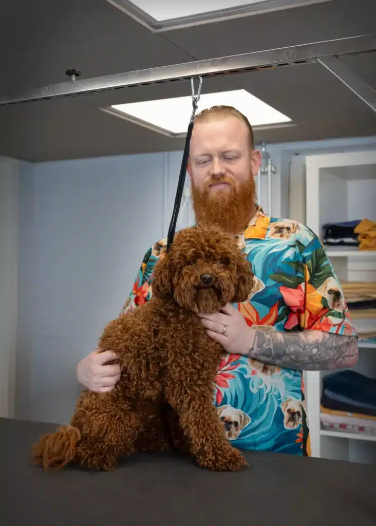 Hundefrisør