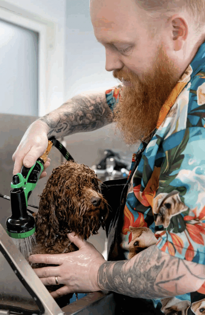 Pelspleje af hund